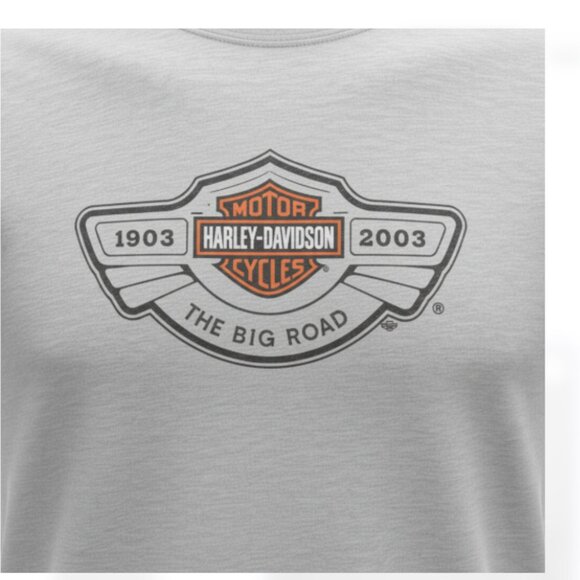 Harley-Davidson Men's T-Shirt Size L 100th Anniversary  Gray Short Sleeve EUC - Picture 11 of 12